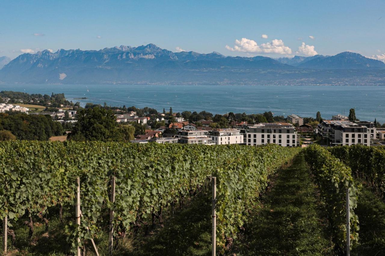 Les Volets Bleus Appartement Morges Buitenkant foto