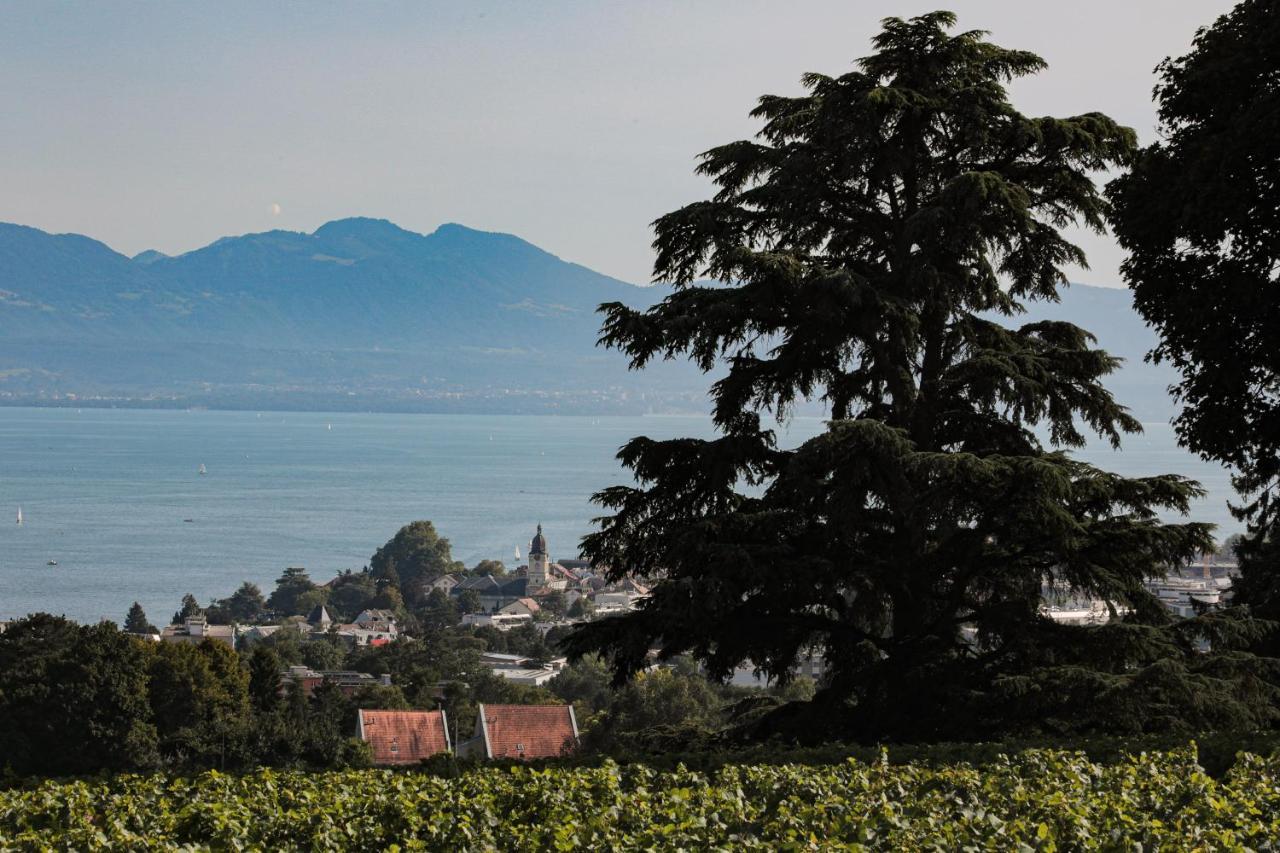 Les Volets Bleus Appartement Morges Buitenkant foto