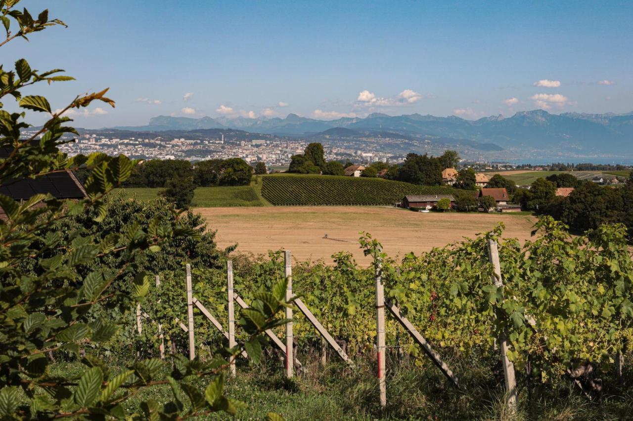 Les Volets Bleus Appartement Morges Buitenkant foto